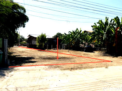 Land for sale Nakhon Sawan : LAND for sale  Nong Bua Nong Bua Nakhon Sawan