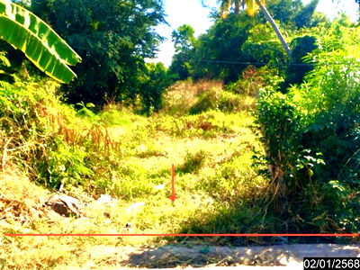 Land for sale Na Mon Kalasin : LAND for sale  Na Mon Na Mon Kalasin