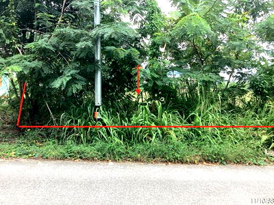 ที่ดิน ประจวบคีรีขันธ์ : ที่ดินว่างเปล่า สำหรับขาย - แสงอรุณ ทับสะแก ประจวบคีรีขันธ์