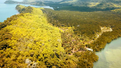 Land for sale Phangnga : Land for SALE near Khlong Son Beach in Phang Nga 