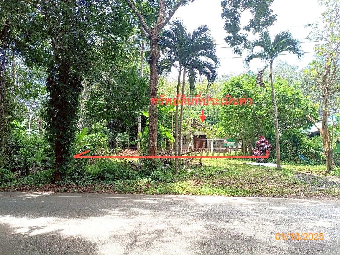 picture HOME for sale Na Pla Muang Trang Trang - 24/28