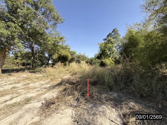 picture LAND for sale  Kung Kao Tha Khan Tho Kalasin - 4/20