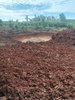 listing thumbnail image 15