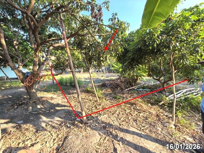 รูป บ้านเดี่ยว สำหรับขาย - แม่ก๊า สันป่าตอง เชียงใหม่ - รูปที่ 12/28