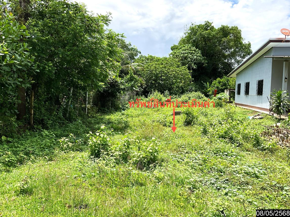 รูป ที่ดินว่างเปล่า สำหรับขาย - โคกหล่อ เมืองตรัง ตรัง - รูปที่ 7/14