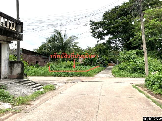 รูป ที่ดินว่างเปล่า สำหรับขาย - ปากแพรก ทุ่งสง นครศรีธรรมราช - รูปที่ 1/16