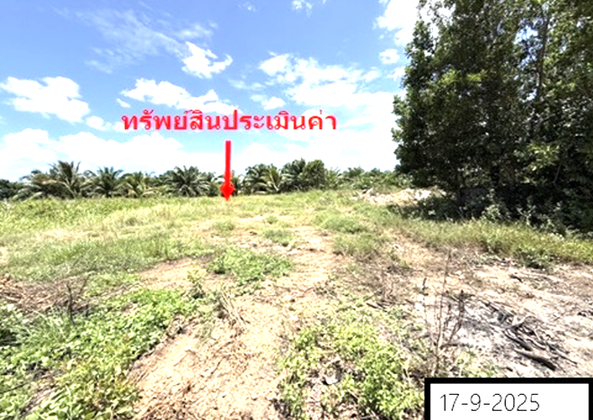 รูป ที่ดินว่างเปล่า สำหรับขาย - คูหาใต้ รัตภูมิ สงขลา - รูปที่ 6/18