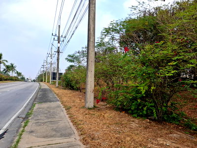 ที่ดิน เมืองระยอง ระยอง : ขายที่สีม่วงเข้ม ถมแล้ว 10 ไร่  ต.เนินพระ อ.เมือง จ.ระยอง