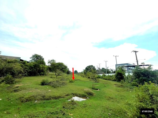 รูป ที่ดินว่างเปล่า สำหรับขาย - ดงมะไฟ เมืองสกลนคร สกลนคร - รูปที่ 5/14