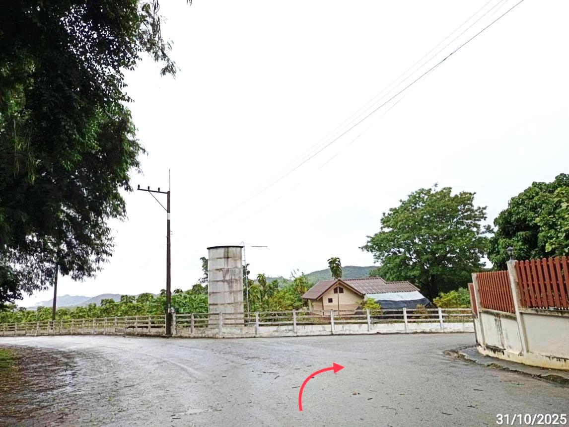 รูป ที่ดินว่างเปล่า สำหรับขาย ภูริพิมาน ปากช่อง ปากช่อง นครราชสีมา - รูปที่ 20/24