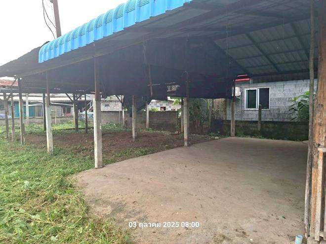 รูป บ้านเดี่ยว สำหรับขาย - น้ำตาล อินทร์บุรี สิงห์บุรี - รูปที่ 7/24