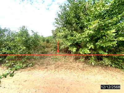 ที่ดิน เมืองขอนแก่น ขอนแก่น : ที่ดินว่างเปล่า สำหรับขาย - ท่าพระ เมืองขอนแก่น ขอนแก่น