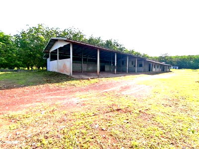 Houses for sale Udon Thani : HOME for sale  Nong Mek Nong Han Udon Thani