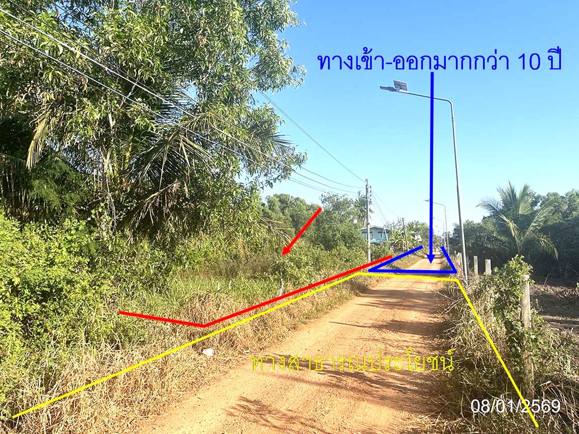 รูป ที่ดินว่างเปล่า สำหรับขาย - คลองเปรง เมืองฉะเชิงเทรา ฉะเชิงเทรา - รูปที่ 6/14