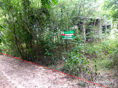 Land for sale  Robinson Lifestyle Surin : LAND for sale  Then Mi Muang Surin Surin