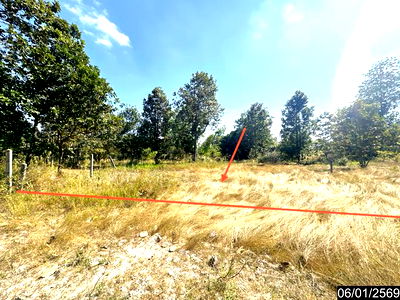 Land for sale Amnat Charoen : LAND for sale  Bung Muang Amnat Charoen Amnat Charoen