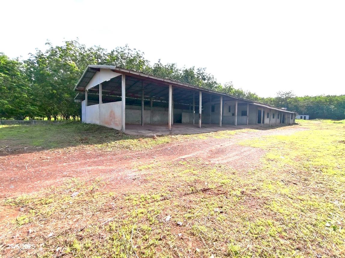 รูป บ้านเดี่ยว สำหรับขาย - หนองเม็ก หนองหาน อุดรธานี - รูปที่ 25/52