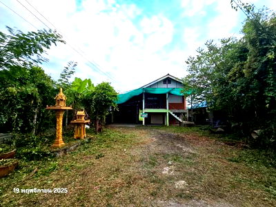Houses for sale Globol House Phitsanulok : HOME for sale  Bung Phra Muang Phitsanulok Phitsanulok