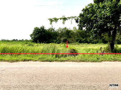 Land for sale Kalasin : LAND for sale  Na Chuak Yang Talat Kalasin