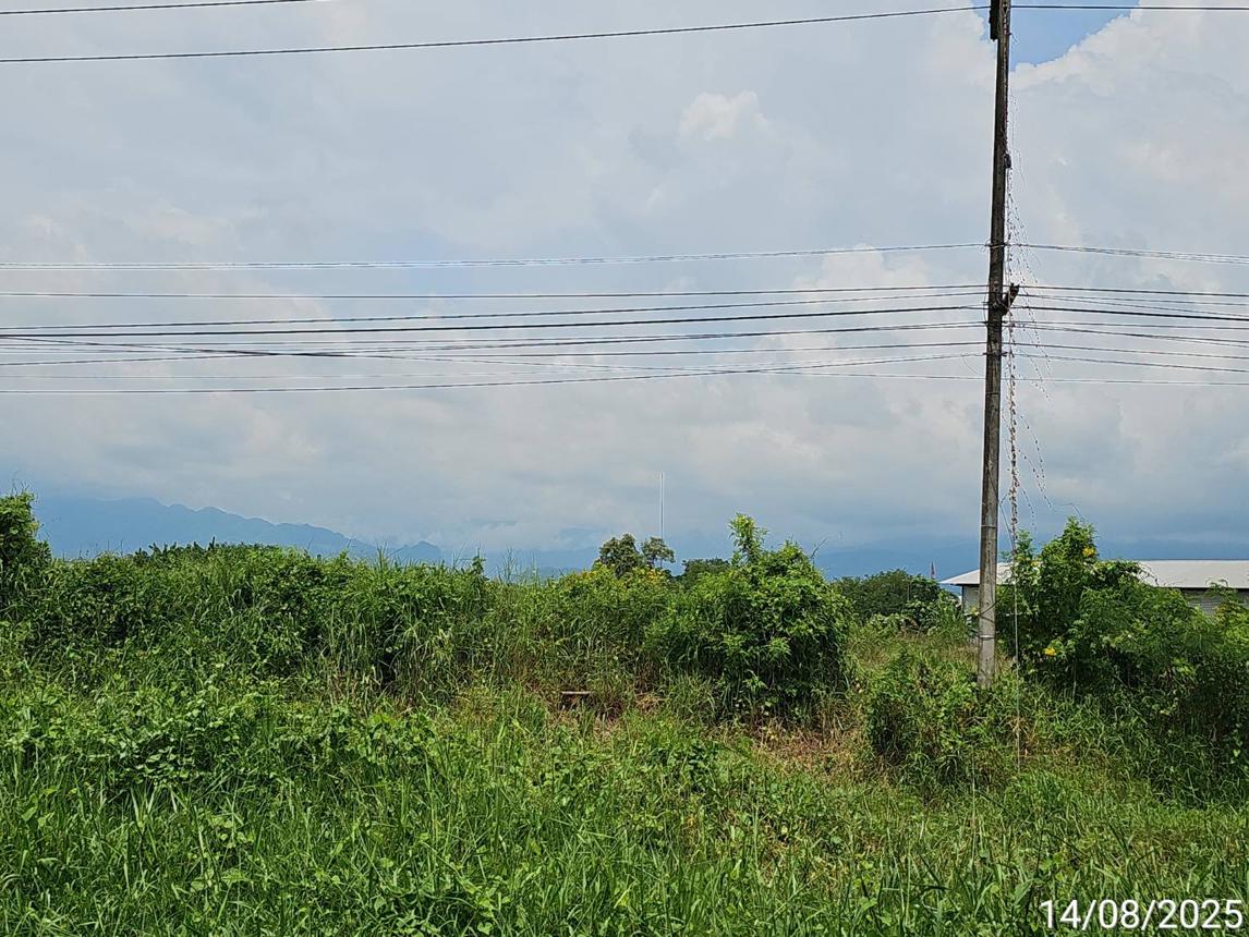 รูป ที่ดินว่างเปล่า สำหรับขาย - หล่มเก่า หล่มเก่า เพชรบูรณ์ - รูปที่ 7/14