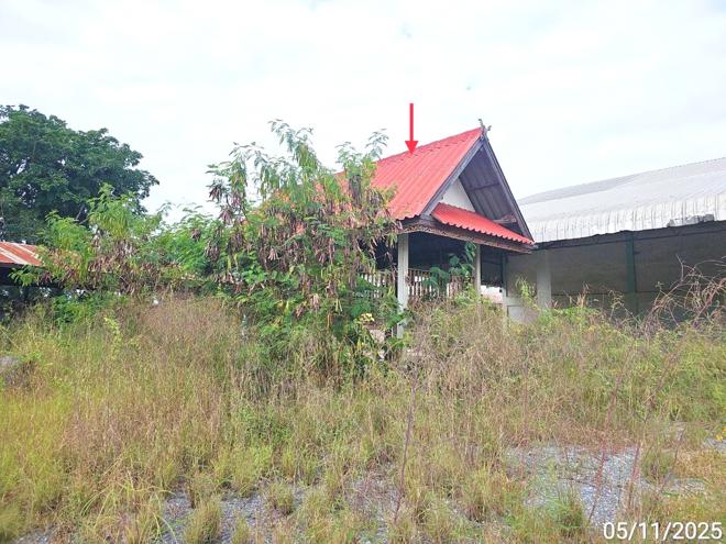 รูป โกดัง สำหรับขาย - ราวต้นจันทร์ ศรีสำโรง สุโขทัย - รูปที่ 22/54