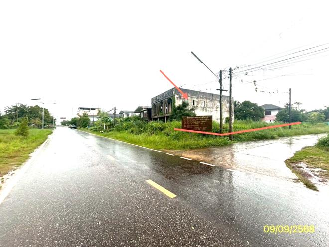 รูป ที่ดินว่างเปล่า สำหรับขาย - เสนางคนิคม เสนางคนิคม อำนาจเจริญ - รูปที่ 10/24