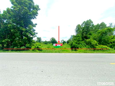 Land for sale Muang Sukhothai Sukhothai : LAND for sale  Wang Thong Daeng Muang Sukhothai Sukhothai