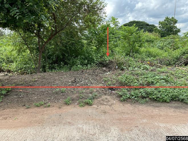 รูป ที่ดินว่างเปล่า สำหรับขาย - อิตื้อ ยางตลาด กาฬสินธุ์ - รูปที่ 4/24