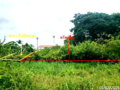 Land for sale Mahasarakham University : LAND for sale  Talat Muang Maha Sarakham Maha Sarakham