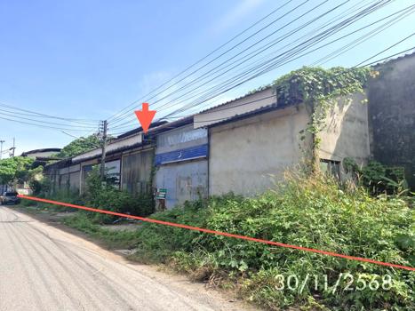 รูป อาคารโรงงาน สำหรับขาย - ชะมาย ทุ่งสง นครศรีธรรมราช - รูปที่ 15/18