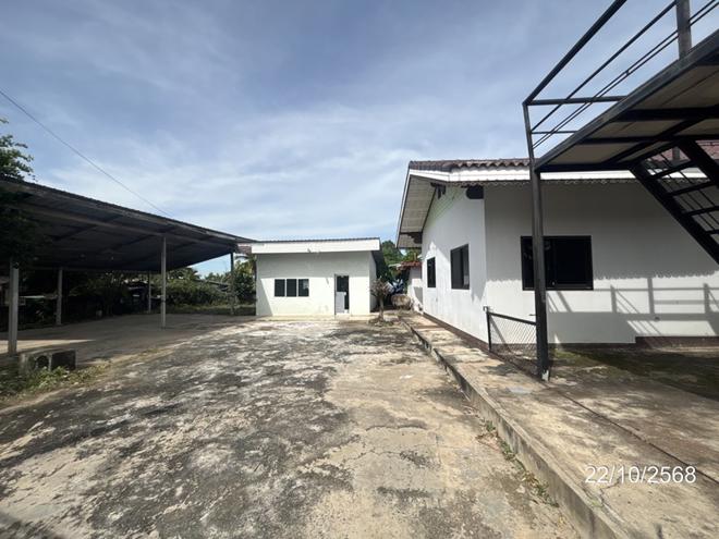 รูป บ้านเดี่ยว สำหรับขาย - ศรีภูมิ กระสัง บุรีรัมย์ - รูปที่ 15/38