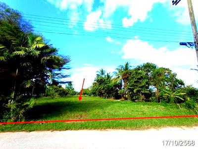 Land for sale Chiang Mai : LAND for sale  Wiang Fang Chiang Mai
