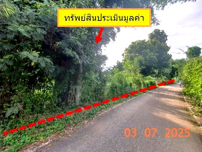 ที่ดิน สันทราย เชียงใหม่ : ที่ดินว่างเปล่า สำหรับขาย - หนองหาร สันทราย เชียงใหม่