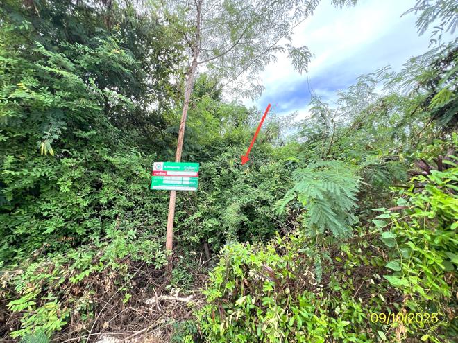 รูป ที่ดินว่างเปล่า สำหรับขาย - เจดีย์หัก เมืองราชบุรี ราชบุรี - รูปที่ 3/14