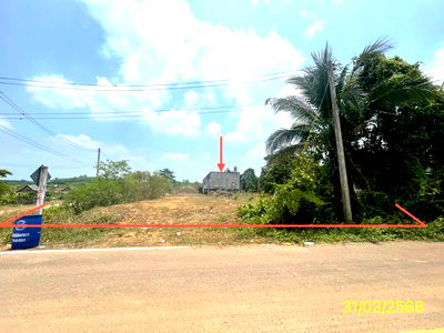 โรงงาน ปะเหลียน ตรัง : โกดัง สำหรับขาย - บางด้วน ปะเหลียน ตรัง