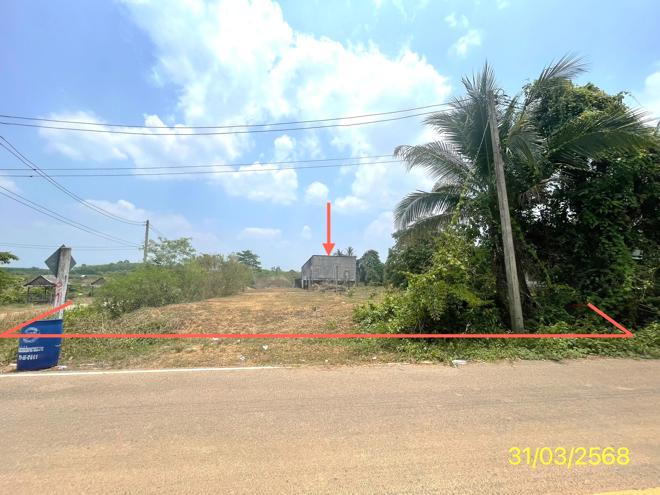 รูป โกดัง สำหรับขาย - บางด้วน ปะเหลียน ตรัง - รูปที่ 1/28