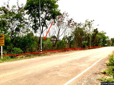 ที่ดิน อากาศอำนวย สกลนคร : ที่ดินว่างเปล่า สำหรับขาย - วาใหญ่ อากาศอำนวย สกลนคร