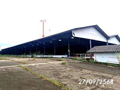 Factory for sale Sikao Trang : FACTORY for sale  Na Muang Phet Sikao Trang