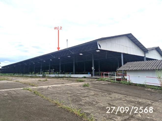 picture FACTORY for sale Na Muang Phet Sikao Trang - 1/52