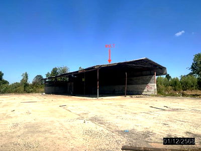 Factory for sale Ubon Ratchathani : FACTORY for sale  Yang Khi Nok Khuang Nai Ubon Ratchathani