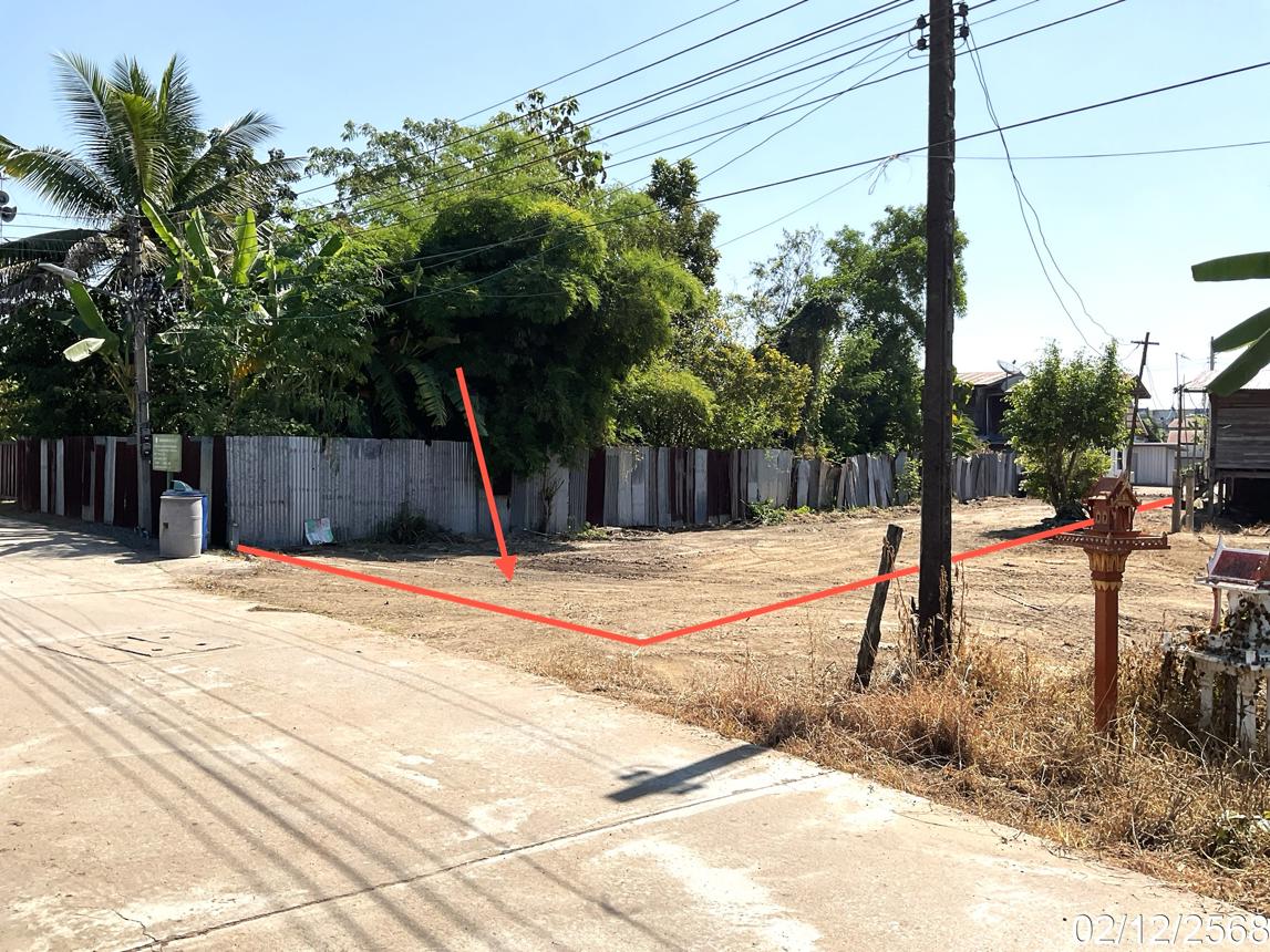 รูป ที่ดินว่างเปล่า สำหรับขาย - หนองบัว หนองบัว นครสวรรค์ - รูปที่ 12/18