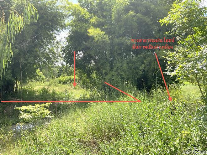 รูป ที่ดินว่างเปล่า สำหรับขาย - หนองมะโมง หนองมะโมง ชัยนาท - รูปที่ 8/24