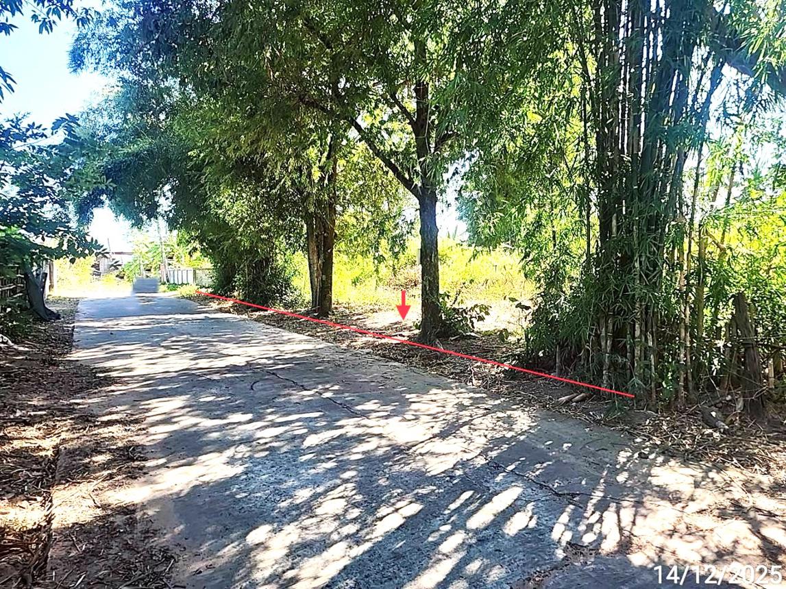 picture LAND for sale  Nong Chik Borabu Maha Sarakham - 12/24