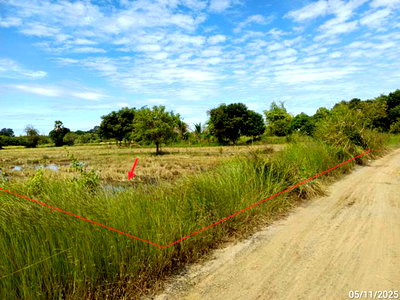 LAND 1000 Sq.w. Satuk Buri Ram for 1M