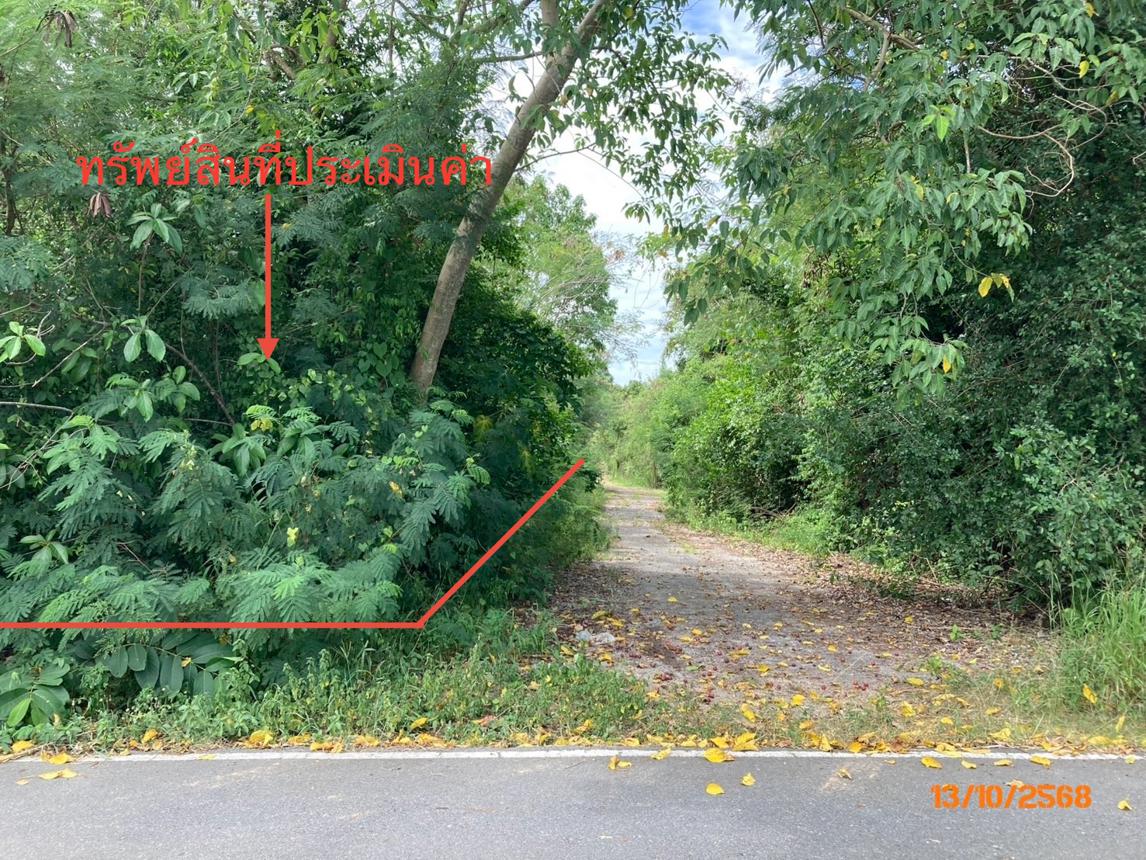 รูป ที่ดินว่างเปล่า สำหรับขาย - ดอนสัก ดอนสัก สุราษฎร์ธานี - รูปที่ 14/20