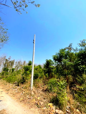 Land for sale Suphanburi : Land for sale at Suphanburi 560 Sq.w.