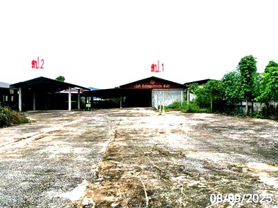 โรงงาน เมืองเลย เลย : โกดัง สำหรับขาย - นาอ้อ เมืองเลย เลย