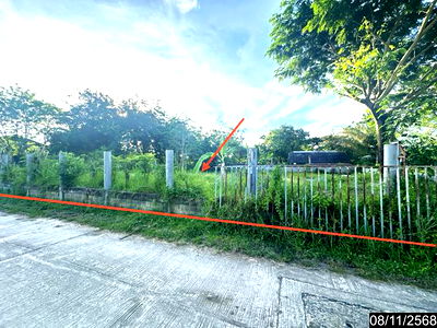 ที่ดิน ม่วงสามสิบ อุบลราชธานี : ที่ดินว่างเปล่า สำหรับขาย - ม่วงสามสิบ ม่วงสามสิบ อุบลราชธานี