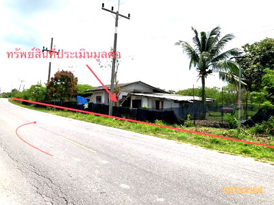 Houses for sale Kanchanadit Surat Thani : HOME for sale  Tha Thong Kanchanadit Surat Thani