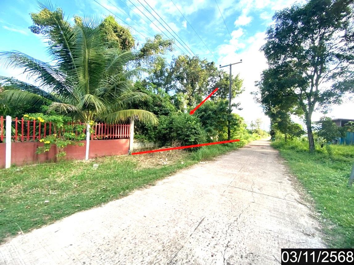 รูป ที่ดินว่างเปล่า สำหรับขาย - สามพร้าว เมืองอุดรธานี อุดรธานี - รูปที่ 6/12